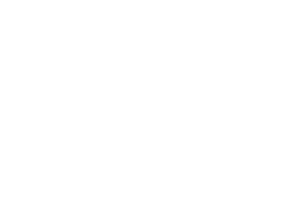 DS Automobiles